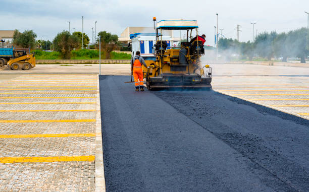 Best Driveway Paving Near Me  in Pinellas Park, FL