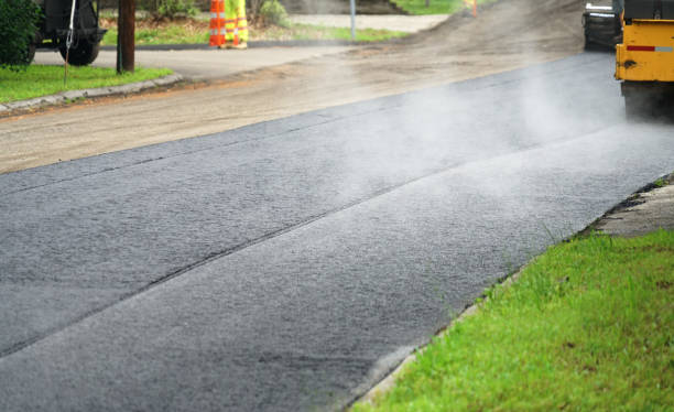Best Local Driveway Pavers  in Pinellas Park, FL